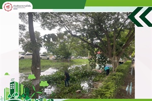 🌿 ยกระดับภูมิทัศน์ สร้างสิ่งแวดล้อมที่ดี สู่มหาวิทยาลัยแห่งความยั่งยืน 🏢
